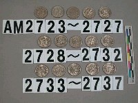 藏品(美國1角硬幣)的圖片